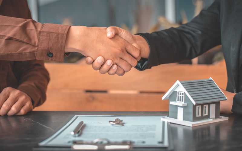 Untitled design (13)